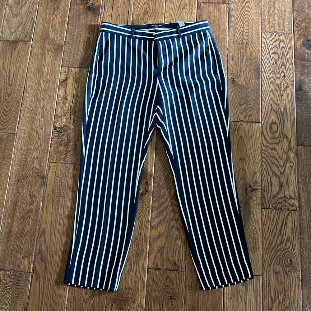 Banana Republic Avery Striped Stress Pants